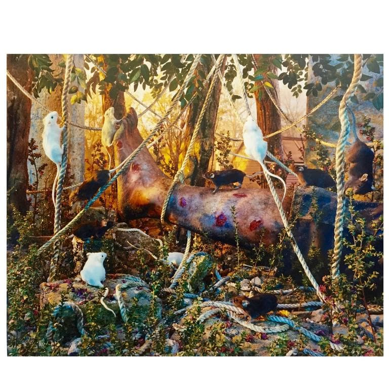 Gregory Crewdson 1990s Photograph Natural Wonder Series