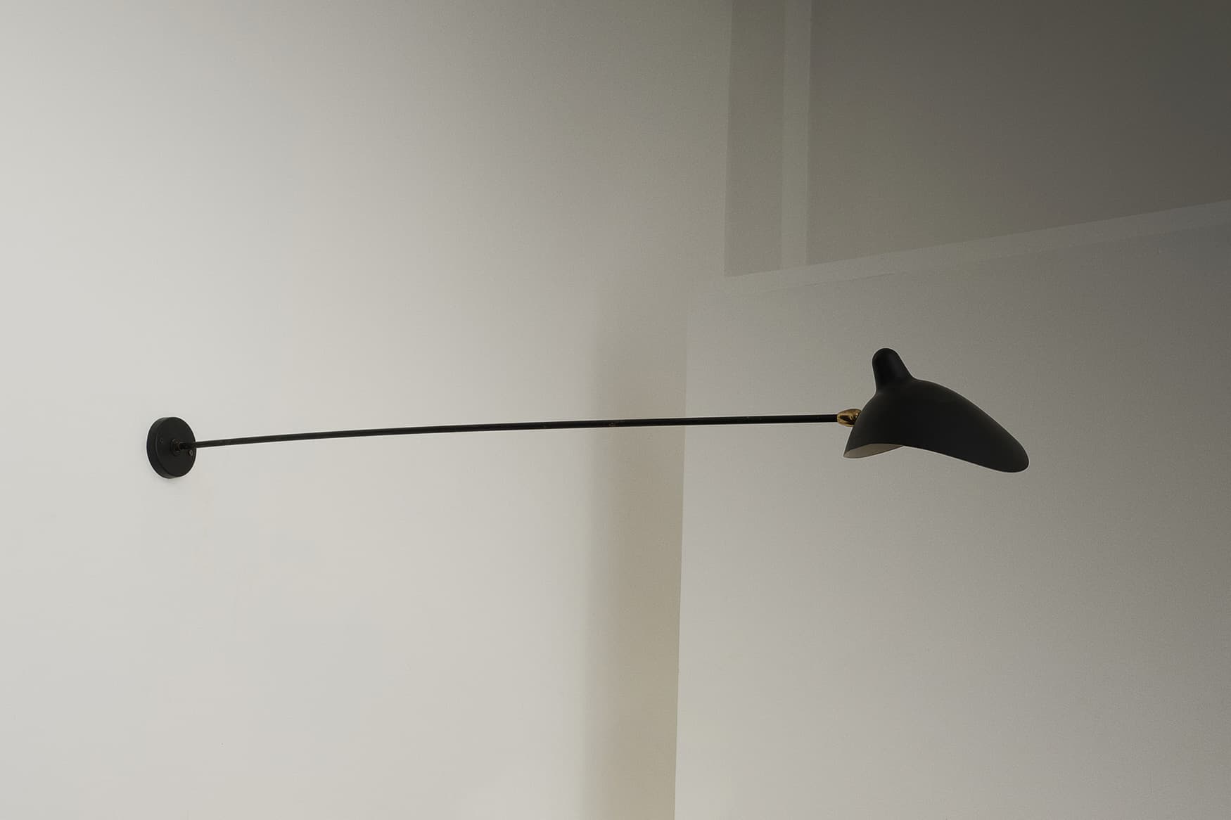 Fixed Single Arm Wall Sconce