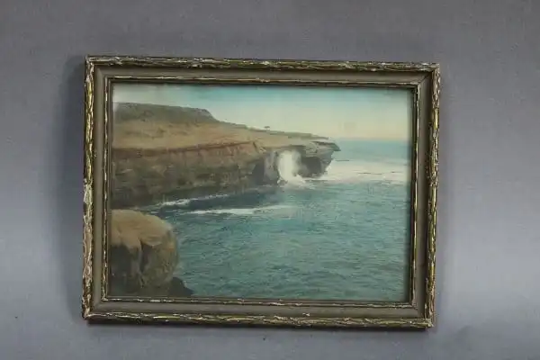 15041. 1920’s Hand Tinted Photo