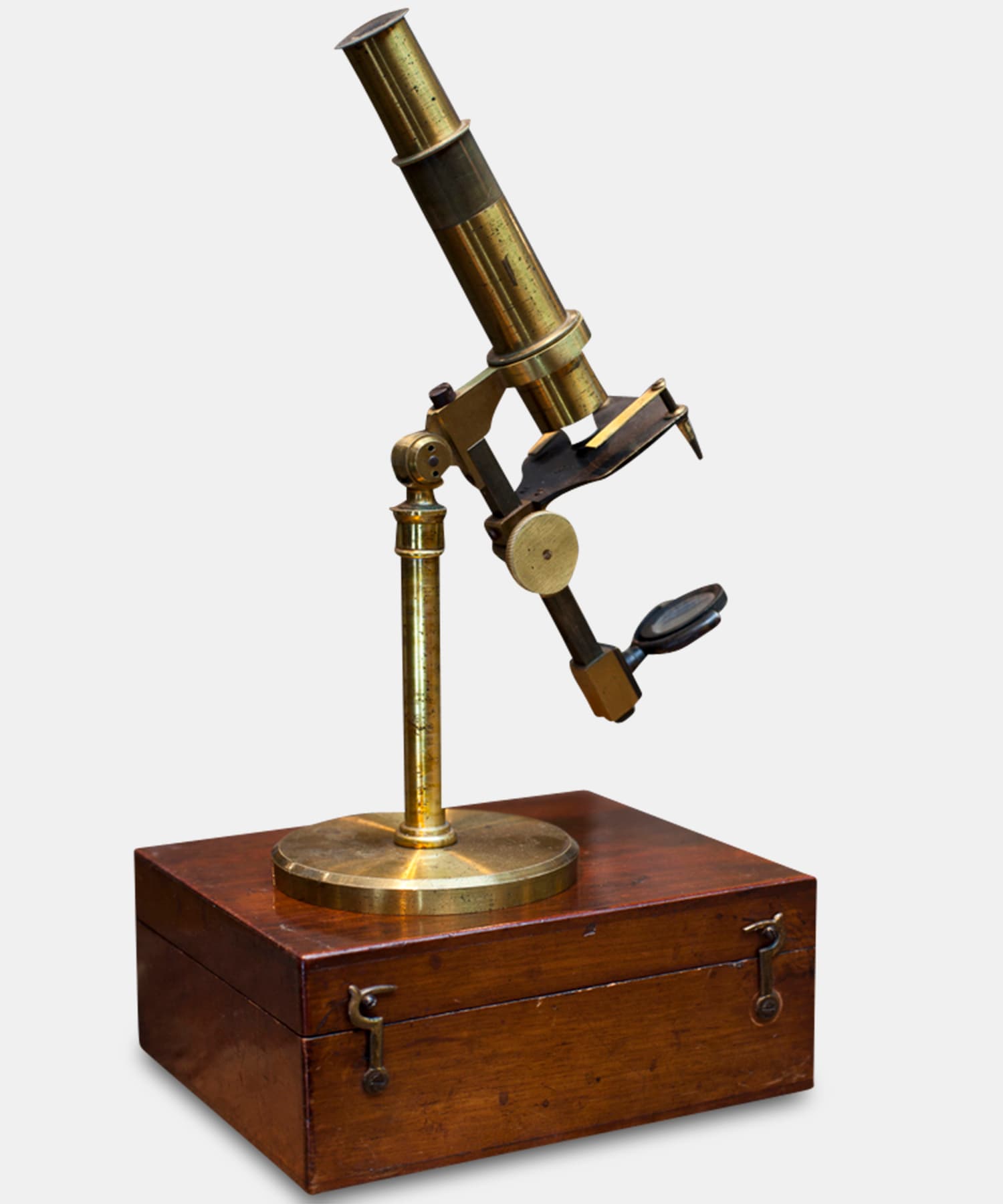 Compound Microscope