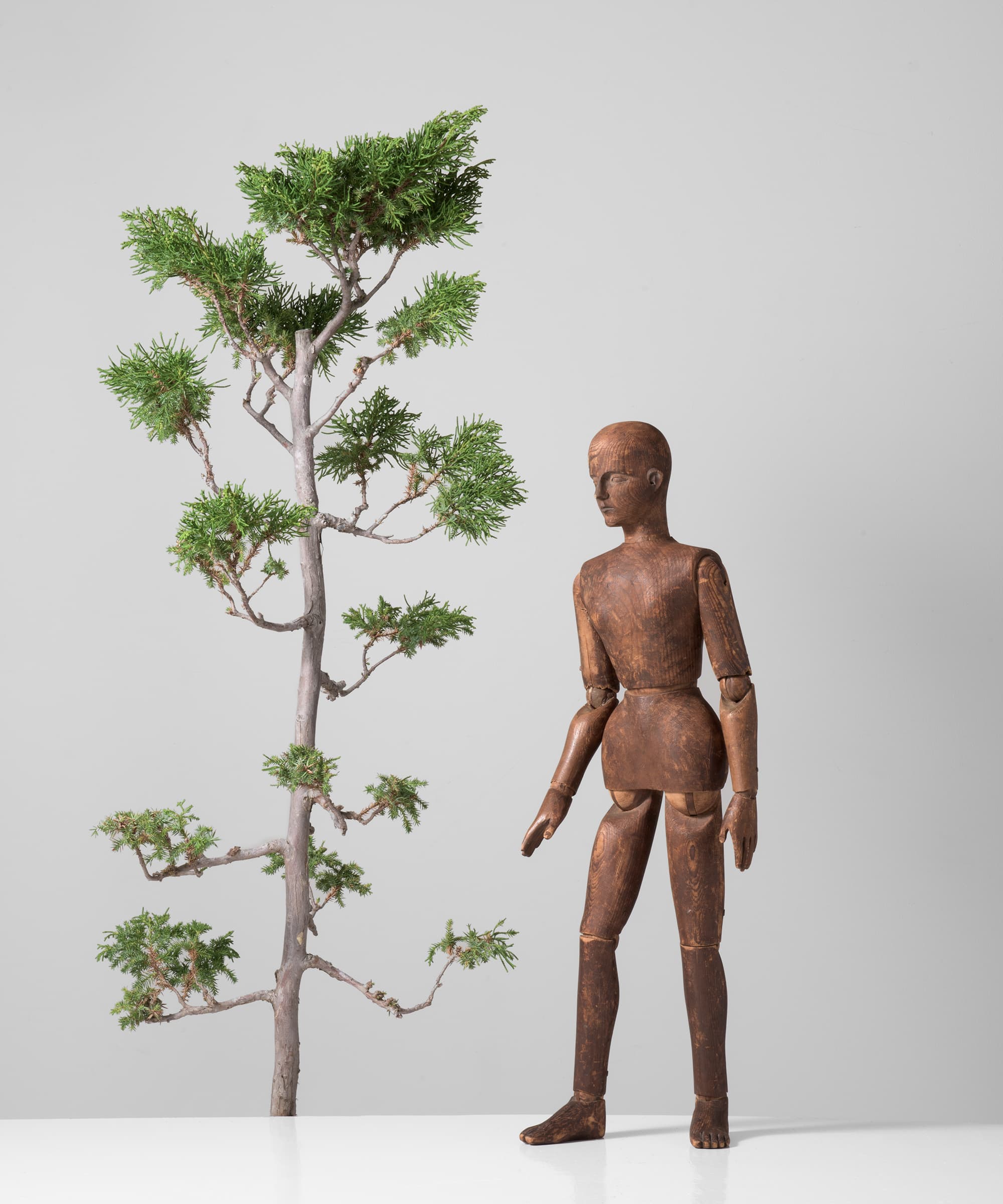 Artist Model in Pine 25.5 inches tall