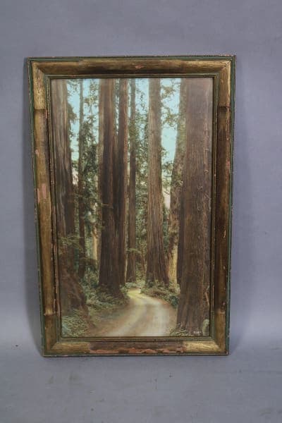 Framed painting of forest path and trees.