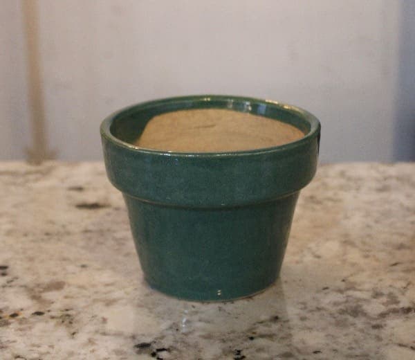 Green pot on a speckled surface.