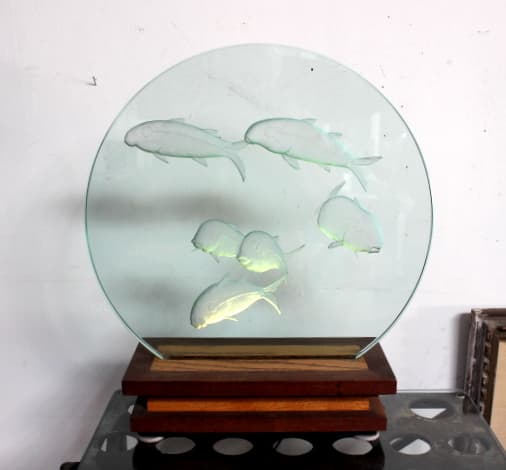 Amazing Koi Night Light