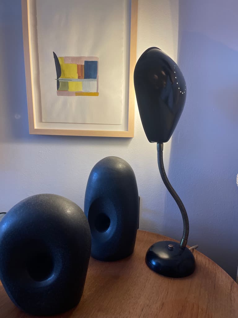 Industrial Black Metal Goosneck Lamp