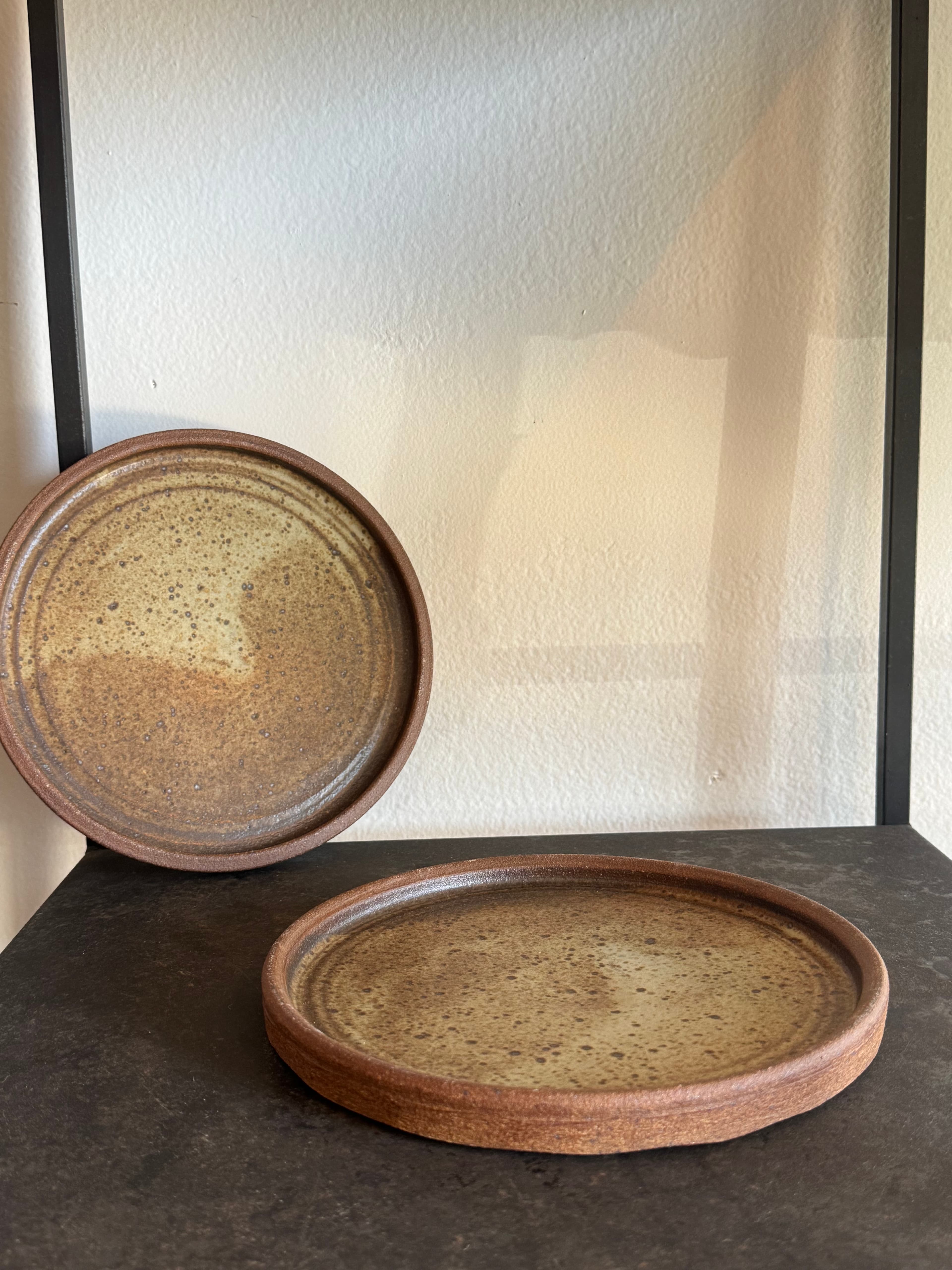 Earthtone 'Japan' Plate