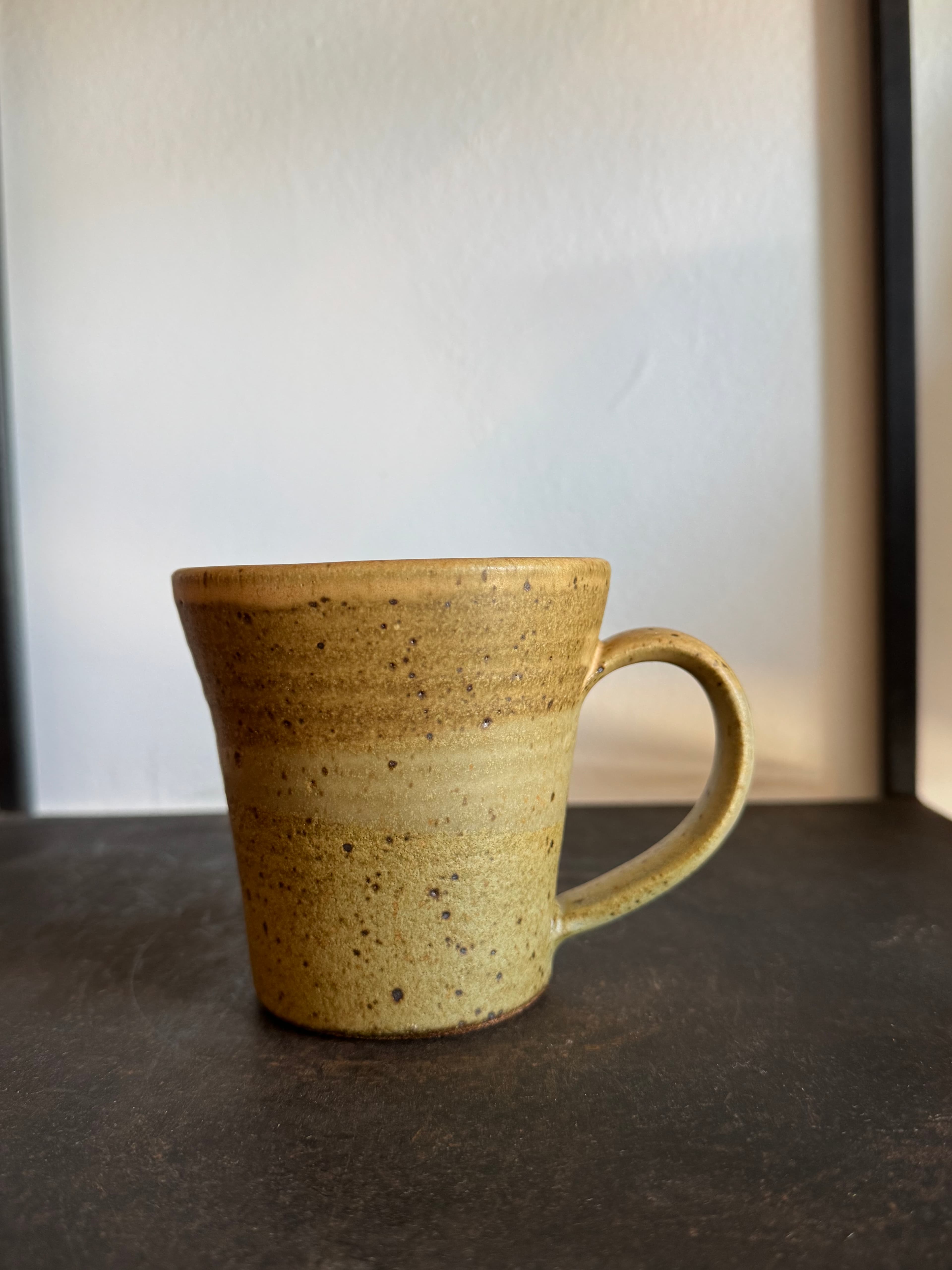 Earth Shoshi Mug