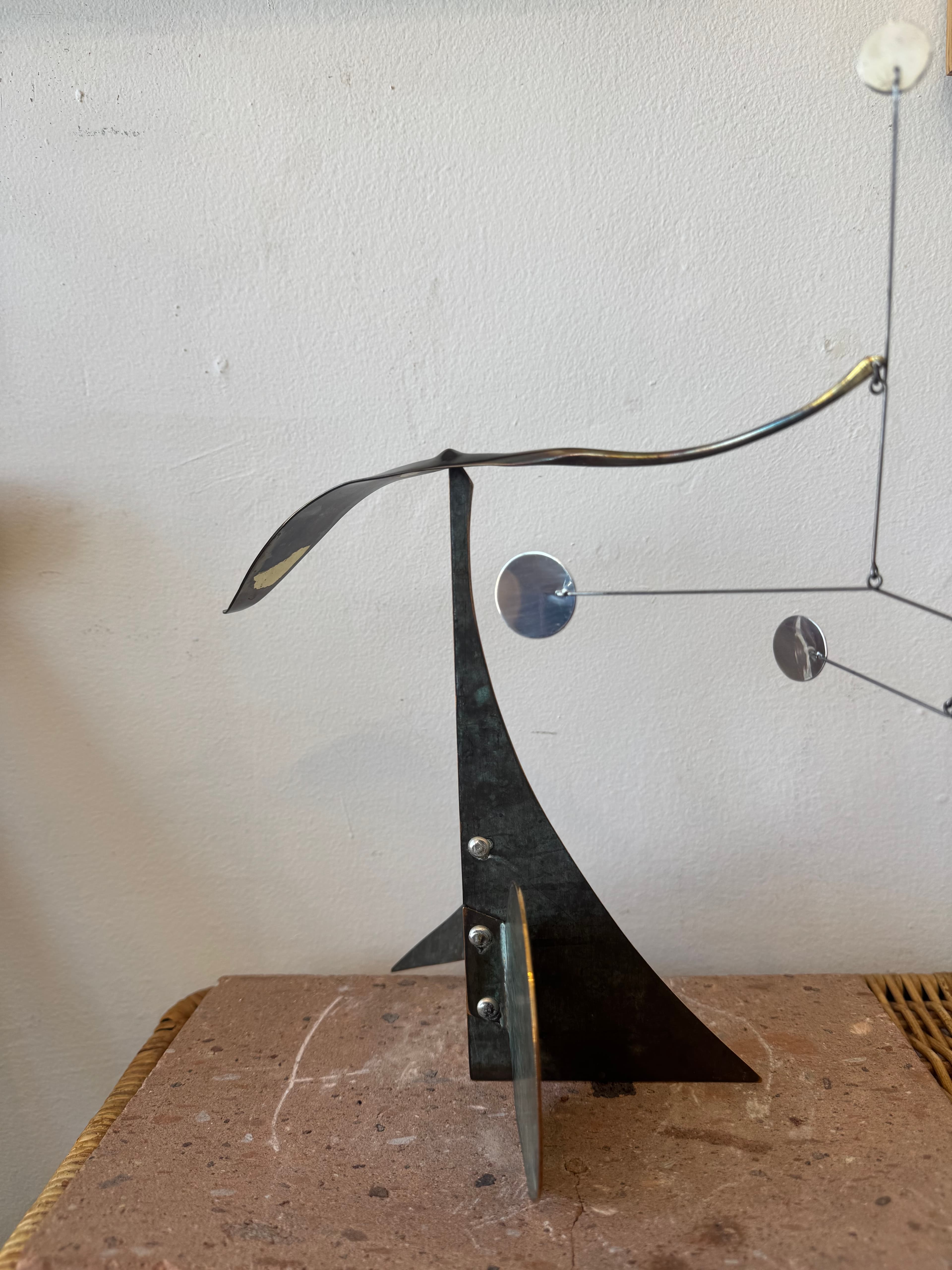 Whydah Bird
