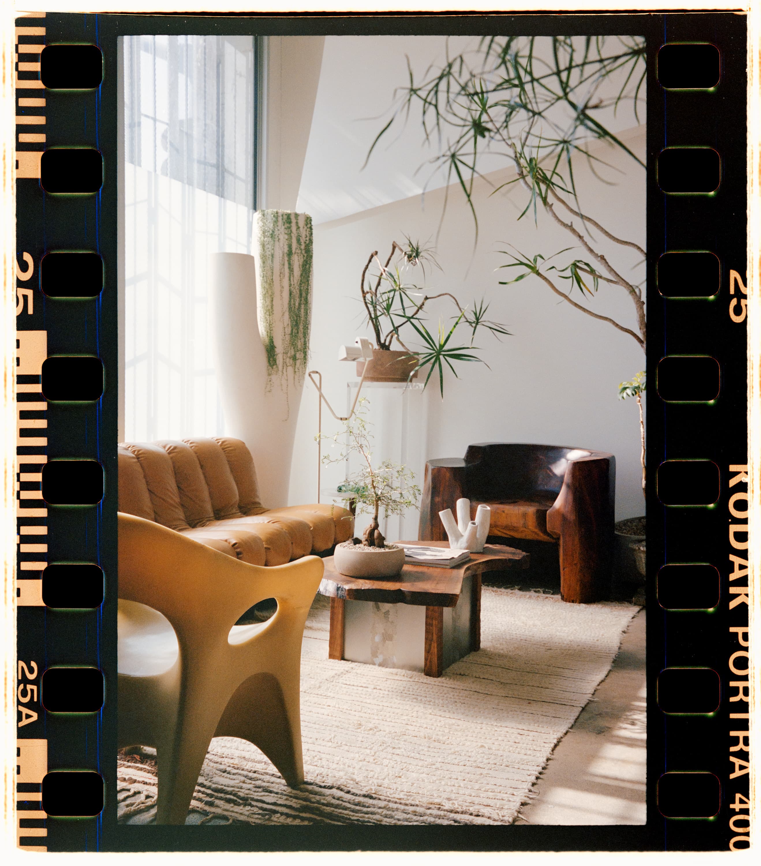 Walnut Table, Mambo Jambo