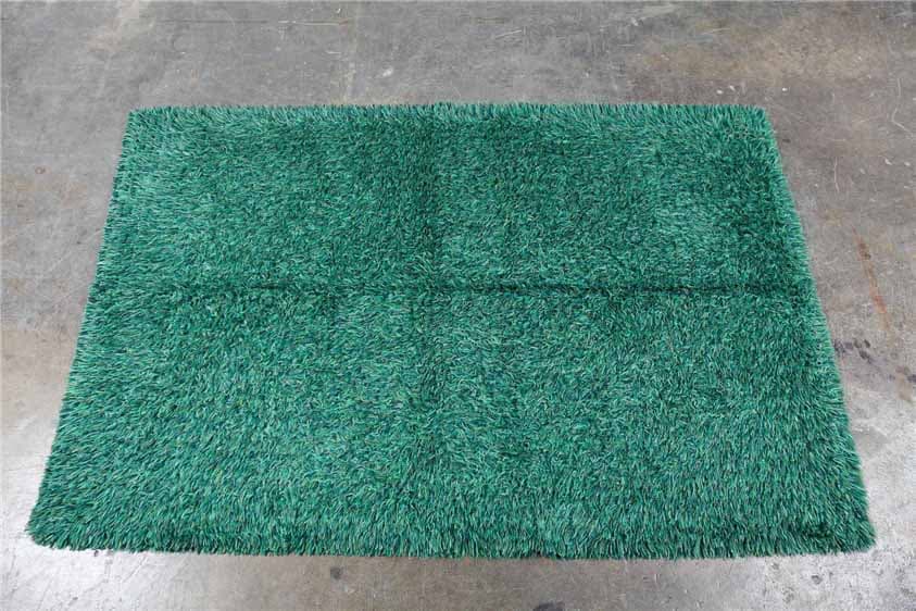 rug 488
