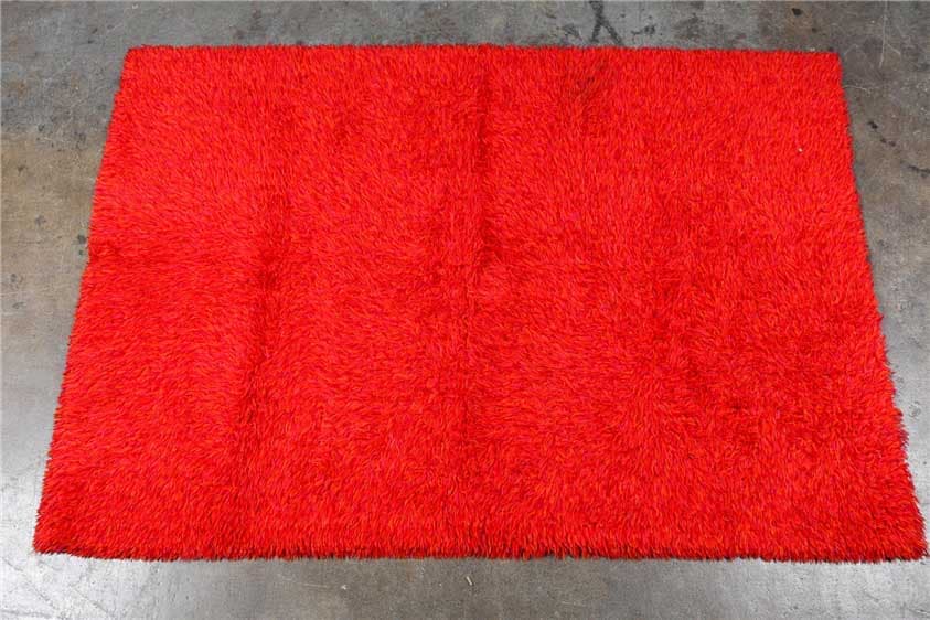 rug 519
