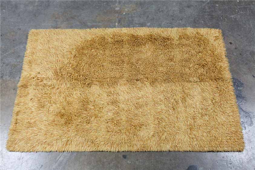 rug 526
