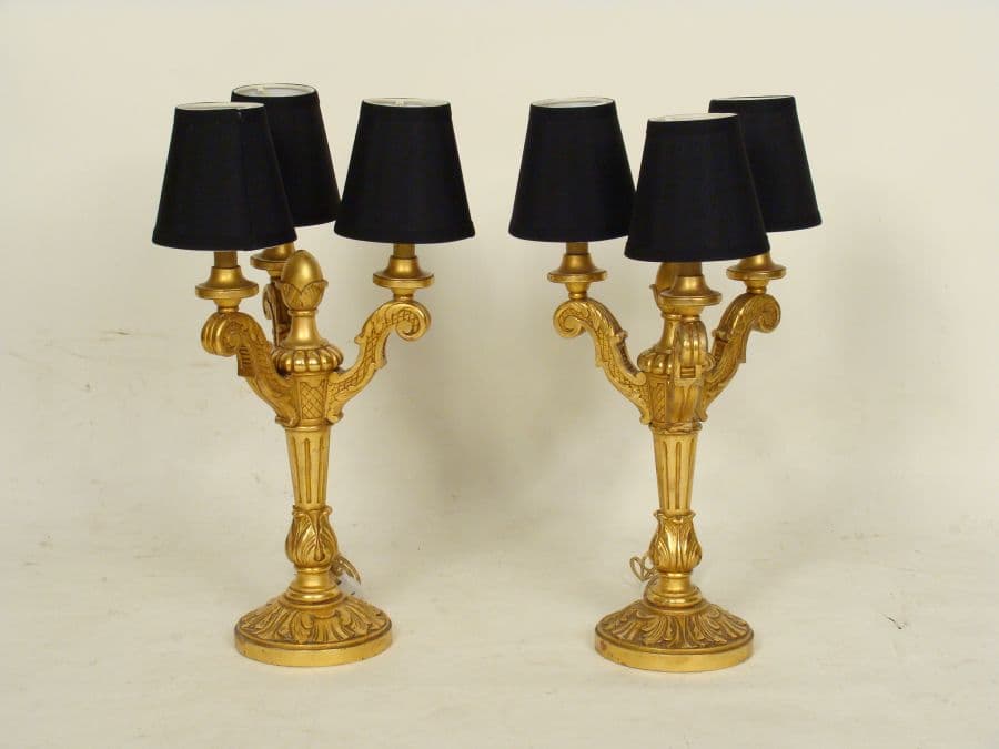 Pair of gilt wood lamps