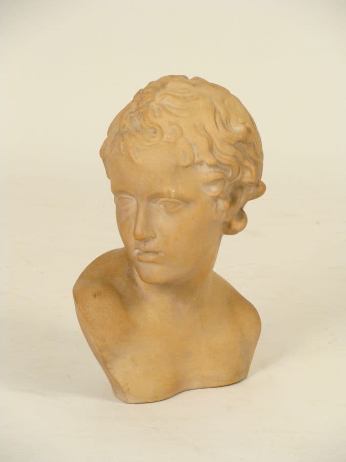 Terra cotta bust