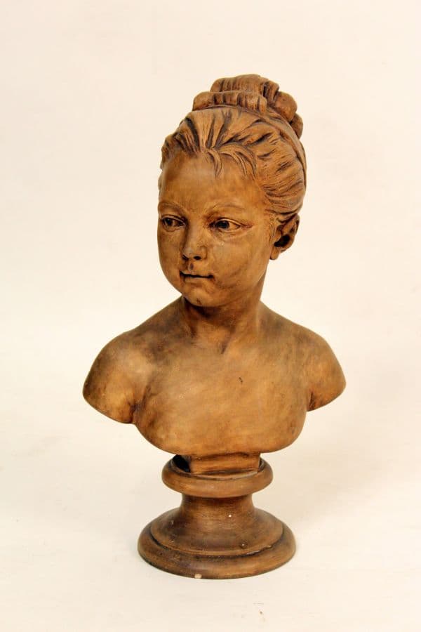 Terra cotta bust