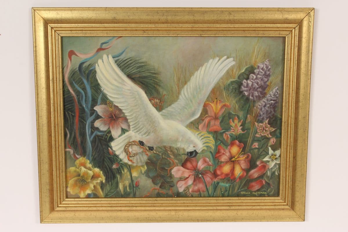 Painting of a cockatoo by Stella Kleffman
