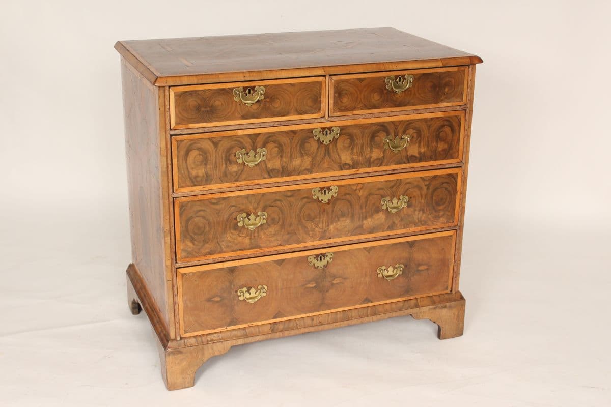 18th century Georgian oyster burl chest of drawers