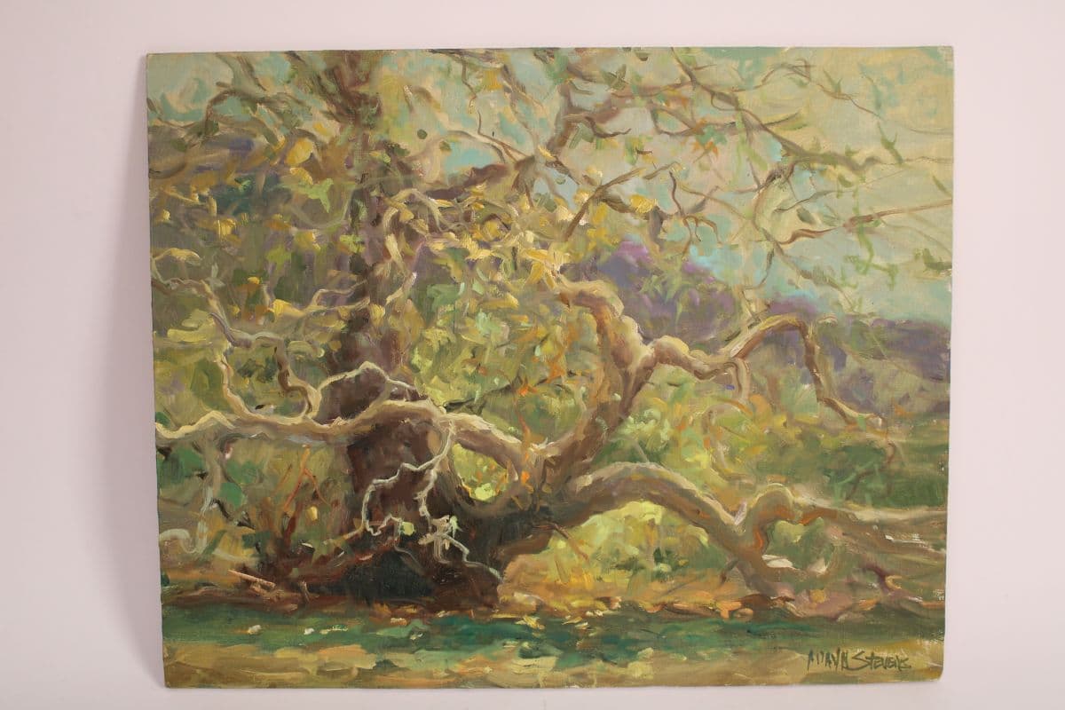Allayn Stevens Landscape painting