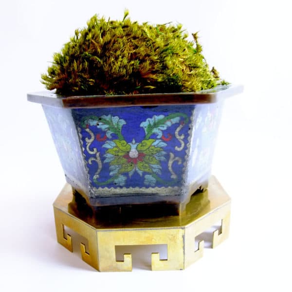 Accessories - Blue Hexagonal Cloisonne Planter - 4705 - Rubbish Interiors Inc.