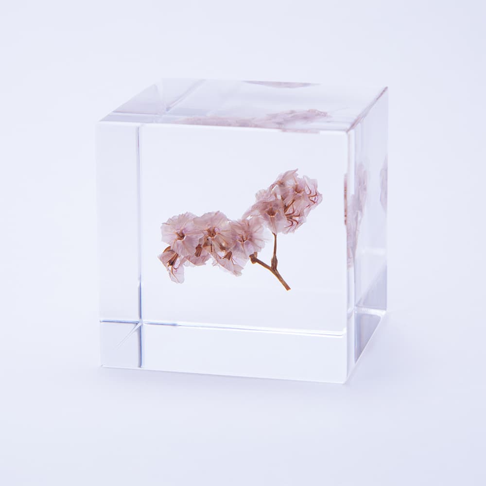 Sea Lavender Sola Cube